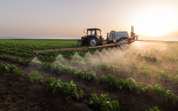 Pest Prevention Services in Dumas, TX