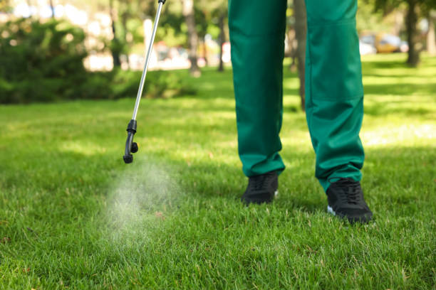 Wasp Removal Services in Dumas, TX