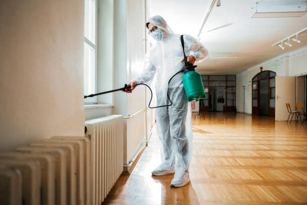 Best Bed Bug Extermination  in Dumas, TX